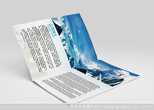 ��I(y��)��˾��I(y��)�������O(sh��)Ӌ