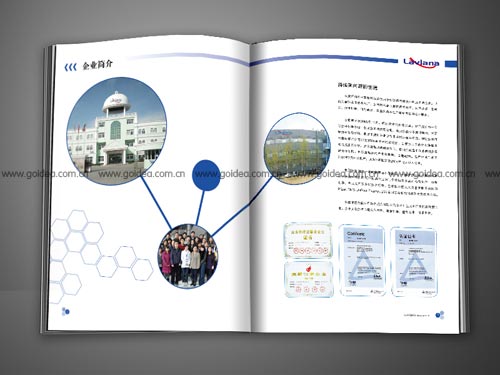 �t(y��)ˎ��˾����(c��)�O(sh��)Ӌ(j��)