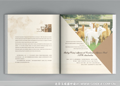 �����ᘿ�Ʒ�����O(sh��)Ӌ